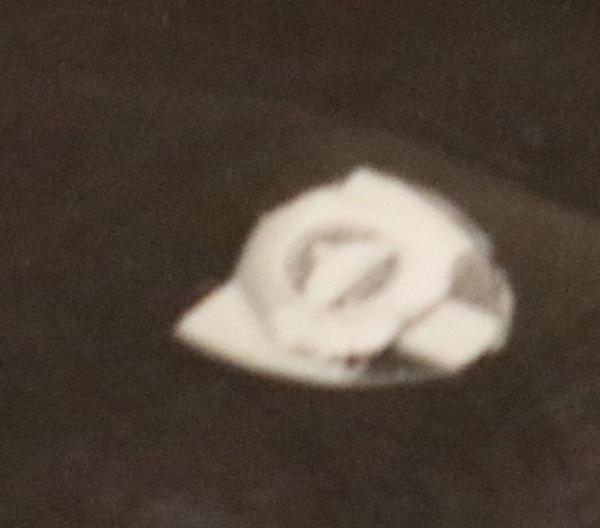 altes Portrait eines älteren Herrn vom Kyffhäuser Bund